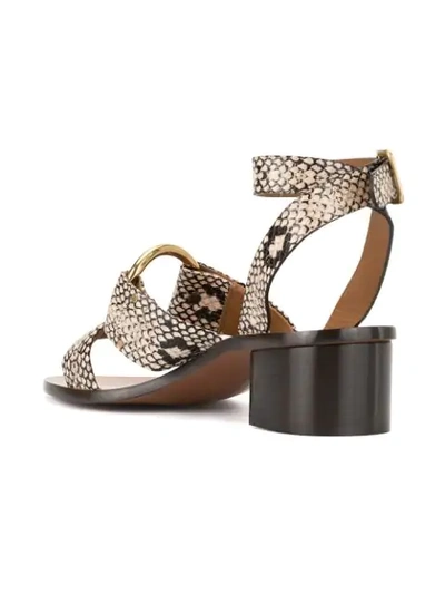 Shop Chloé Snakeskin Effect Sandals In Brown