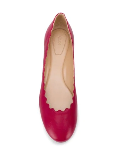 Shop Chloé 'lauren' Ballerinas In 6y8 Raspberry Sorbet