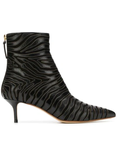 Shop Francesco Russo Pointed Toe Ankle Boots In Black