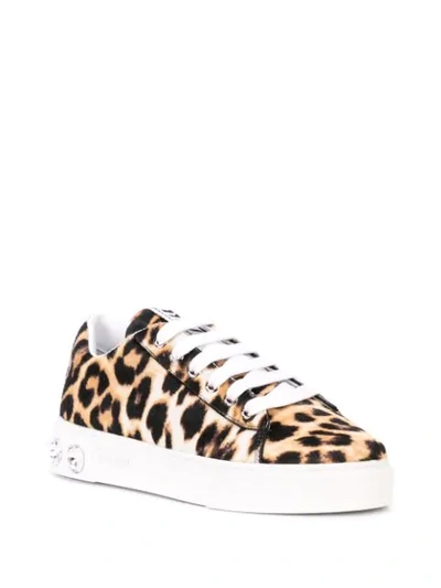Shop Miu Miu Leopard Print Sneakers In Brown