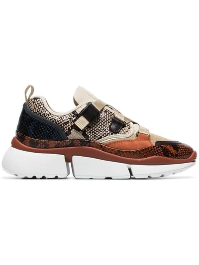 Shop Chloé Multicoloured Sonnie Snake Print Canvas And Suede Leather Sneakers In Neutrals