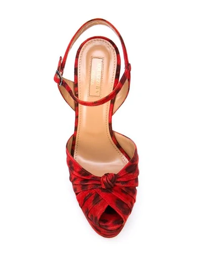 Shop Aquazzura Evita Pumps In Red