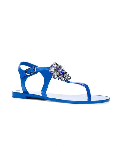 Shop Dolce & Gabbana Embellished Thong Strap Sandals In Blue