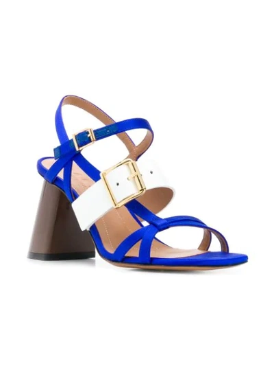 Shop Marni Buckled Strappy Sandals In Blue