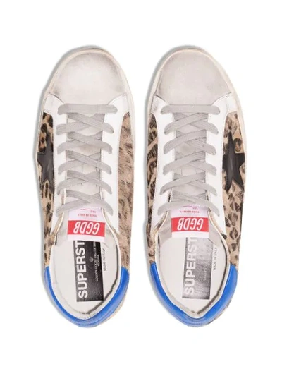 Shop Golden Goose Superstar Snow Leopard Print Sneakers In Brown