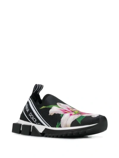 Shop Dolce & Gabbana Lily Print Sorrento Sneakers In Black