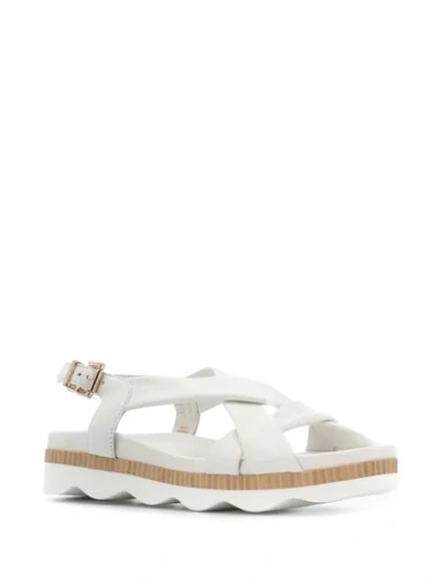 Shop Tosca Blu Chunky Sole Sandals In White