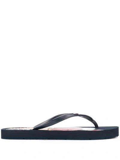 Shop Tommy Hilfiger Ice Cream Flip Flops In Blue