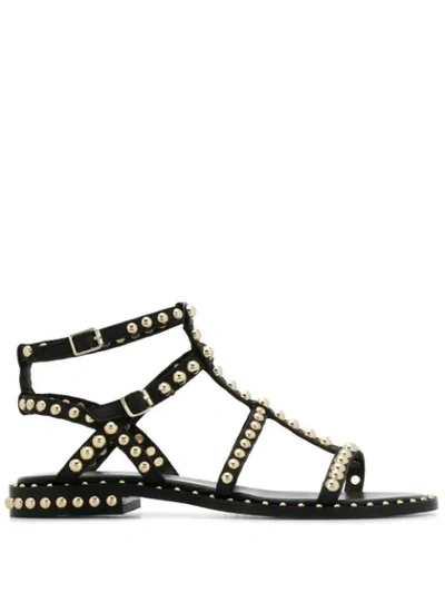 Shop Ash Precious Sandals In Black