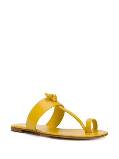 Shop Gianvito Rossi Argo Chunky Strap Sandals In Yellow