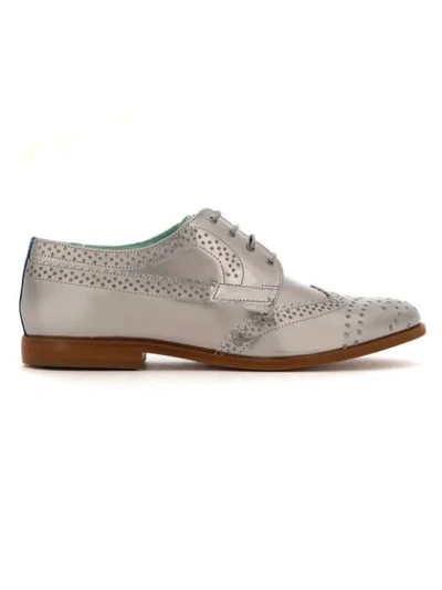 Shop Blue Bird Shoes Leather Oxfords In Grey
