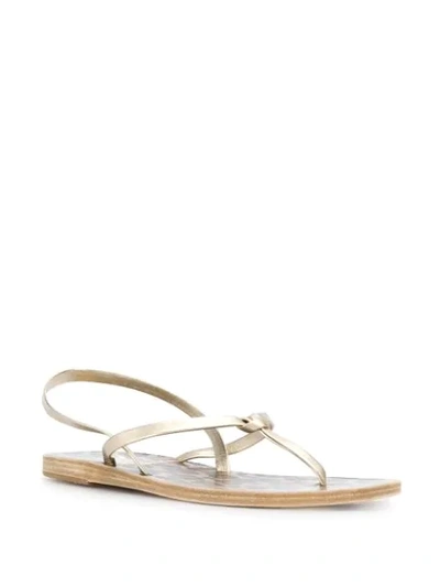 Shop Ancient Greek Sandals Dorothea Sandals In Gold