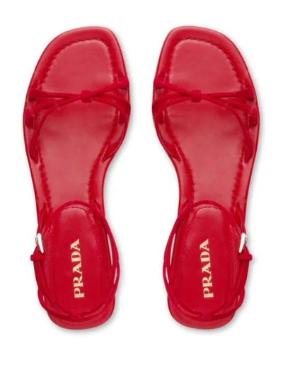 Shop Prada Suede Sandals In Red