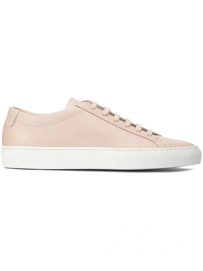 Shop Common Projects Achilles Sneakers In Pink ,white