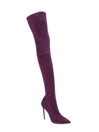 Shop Oscar Tiye Rooster Stretch Boots - Purple