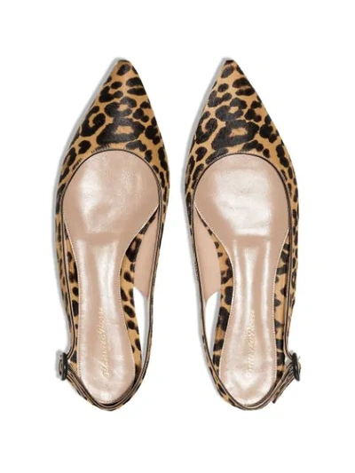 Shop Gianvito Rossi Leopard Print Slingback Ballerina Shoes In Black