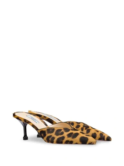 Shop Prada Leopard Print Calf Hair Mules In Brown