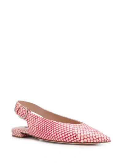 Shop Stuart Weitzman Follow Me Red Slippers In Pink