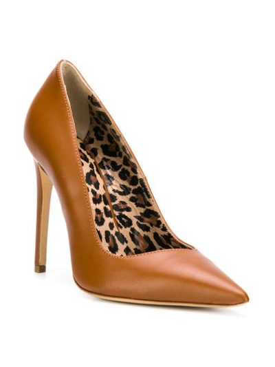 Shop Just Cavalli Classic Pointed Pumps In Brown