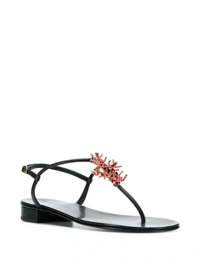 Shop Giuseppe Zanotti Hollie Coral Flat Sandals In Black