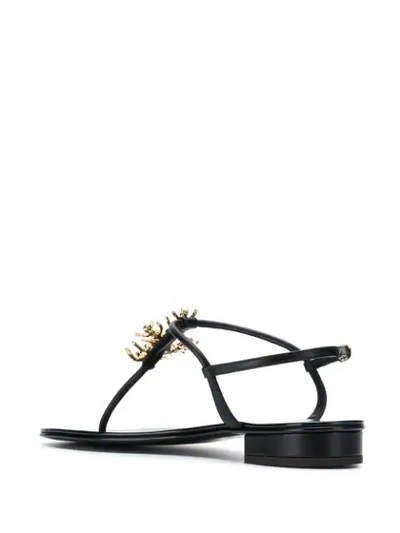 Shop Giuseppe Zanotti Hollie Coral Flat Sandals In Black