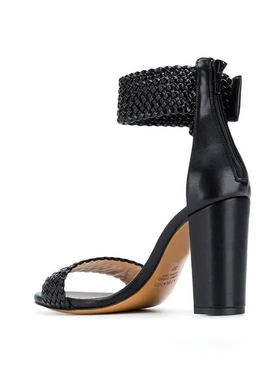 Shop Albano Woven Strap Sandals In Black