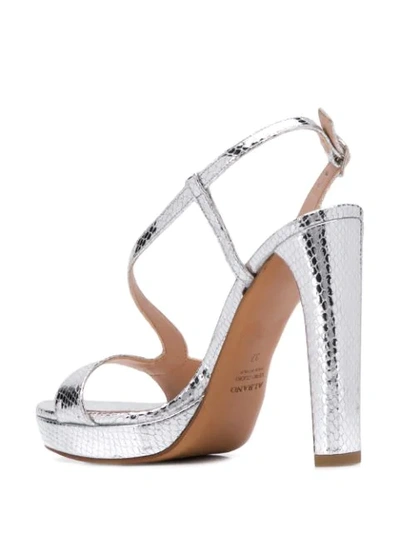 Shop Albano Snakeskin In Silver