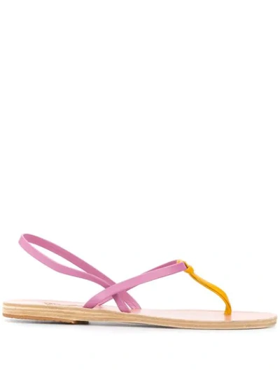 Shop Ancient Greek Sandals Dorothea Sandals In Pink