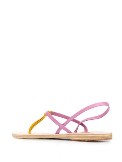 Shop Ancient Greek Sandals Dorothea Sandals In Pink