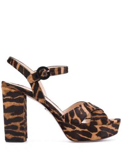 Shop Prada Zebra Print Platform Sandals In Neutrals