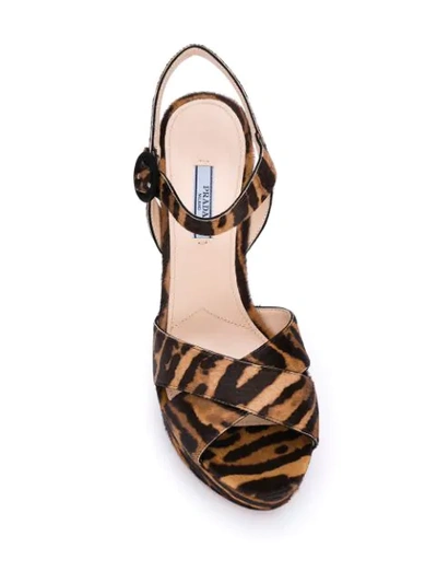 Shop Prada Zebra Print Platform Sandals In Neutrals