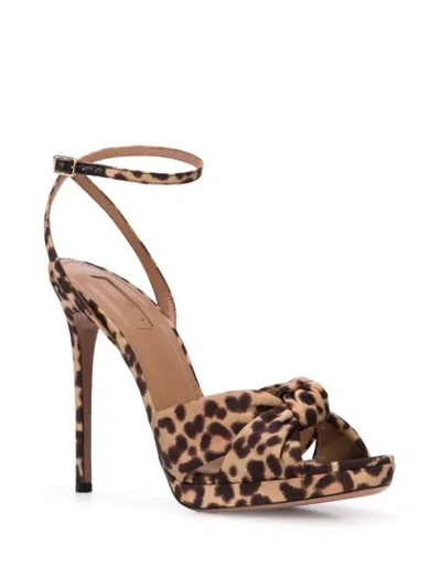 Shop Aquazzura Leopard Print Sandals In Black