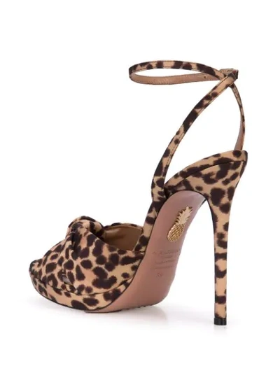 Shop Aquazzura Leopard Print Sandals In Black