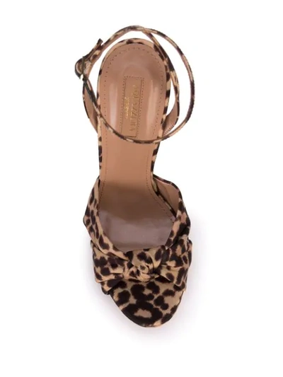 Shop Aquazzura Leopard Print Sandals In Black