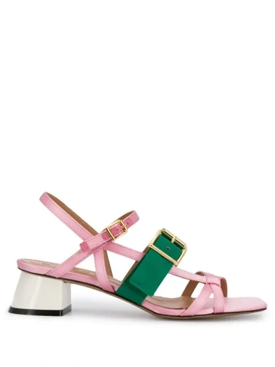 Shop Marni Buckle Sandals In Pink