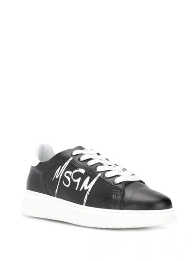 Shop Msgm Logo Lace-up Sneakers In Black