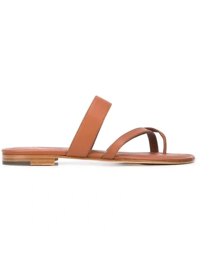 Shop Manolo Blahnik Susa Sandals In Brown