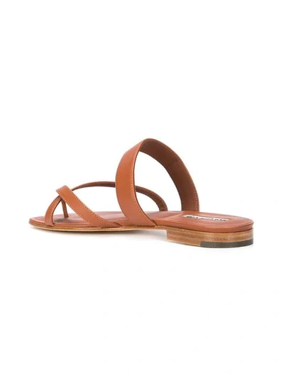 Shop Manolo Blahnik Susa Sandals In Brown