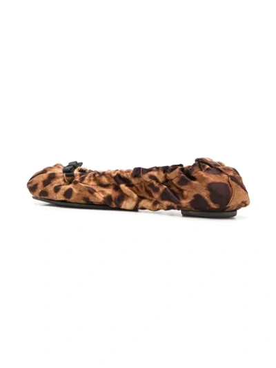 Shop Dolce & Gabbana Leopard Print Ballerinas In Brown