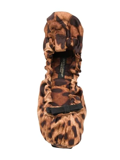 Shop Dolce & Gabbana Leopard Print Ballerinas In Brown