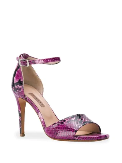 Shop Albano Snakeskin Print Sandals In Pink