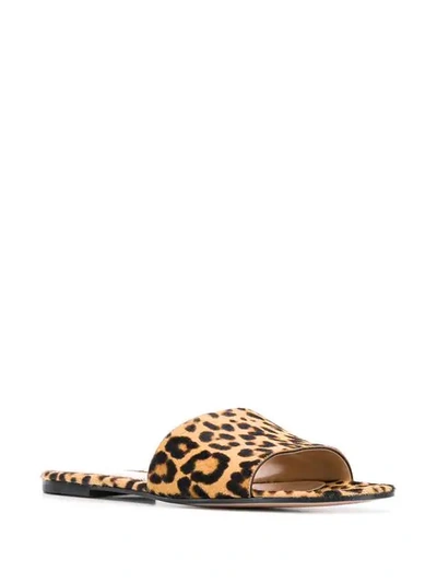 Shop Gianvito Rossi Leopard Print Slip-on Sandals In Neutrals