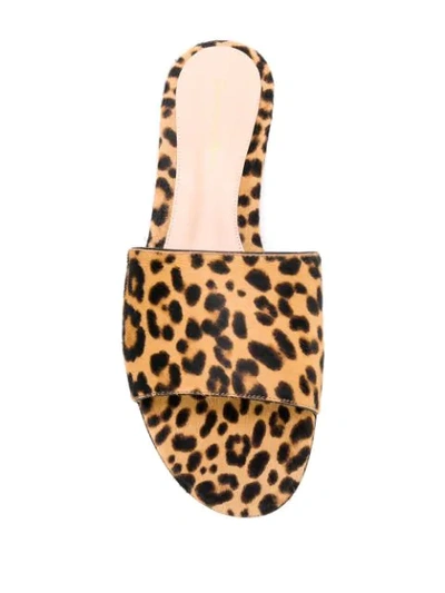 Shop Gianvito Rossi Leopard Print Slip-on Sandals In Neutrals