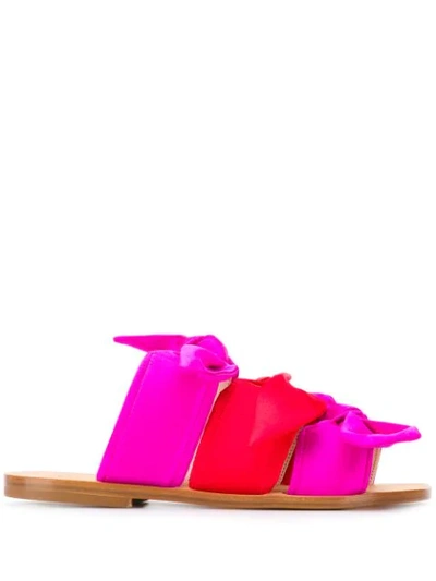 Shop Gia Couture Melissa Bow Sandals In Pink