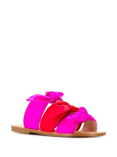 Shop Gia Couture Melissa Bow Sandals In Pink
