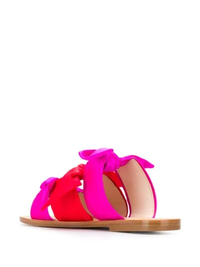 GIA COUTURE MELISSA BOW SANDALS - 粉色