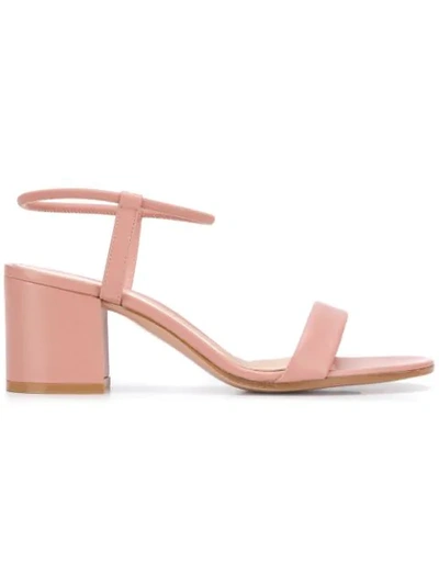Shop Gianvito Rossi Block Heel Sandals In Pink