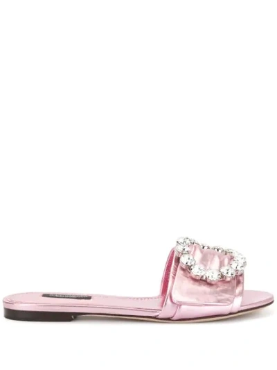 Shop Dolce & Gabbana Flat Slides In Purple