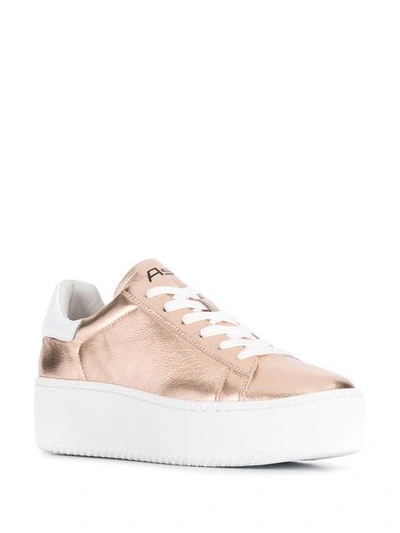 Shop Ash Cult Sneakers In Gold