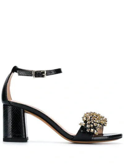 Shop Albano Open Toe Embellished Sandals In Black